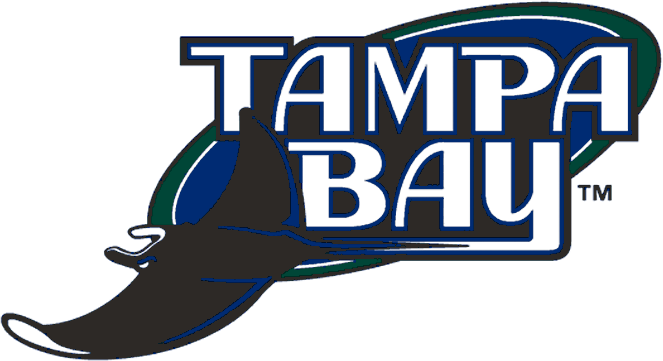 Tampa Bay Devil Rays 2001-2007 Primary Logo t shirts iron on transfers